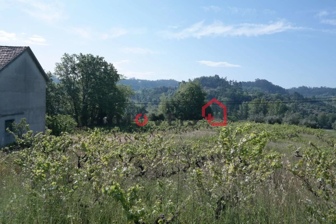 Terreno para Venda em Gondemaria e Olival Foto 2