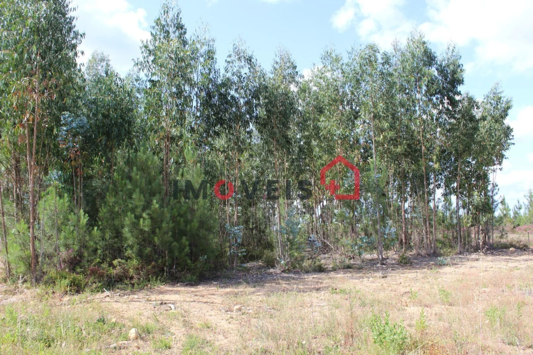 Terreno para Venda em Caxarias Foto 2