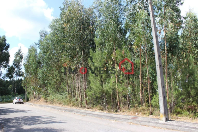 Terreno para Venda em Caxarias Foto 3