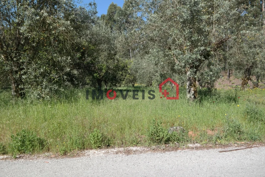 Terreno para Venda em Gondemaria e Olival Foto 1