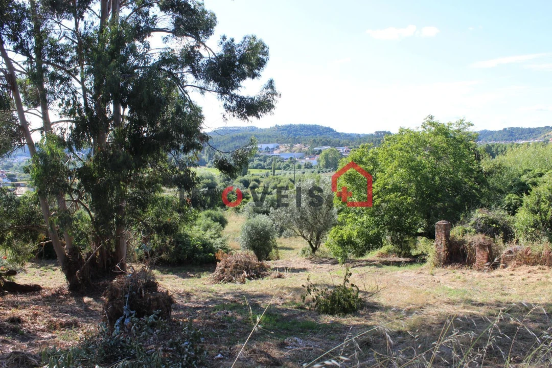 Terreno para Venda em Nossa Senhora das Misericordias Foto 2