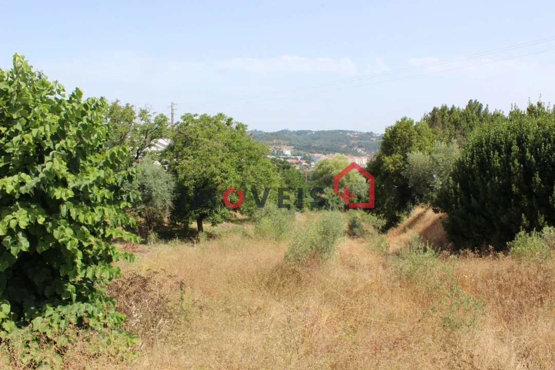Terreno para Venda em Nossa Senhora das Misericordias Foto 1
