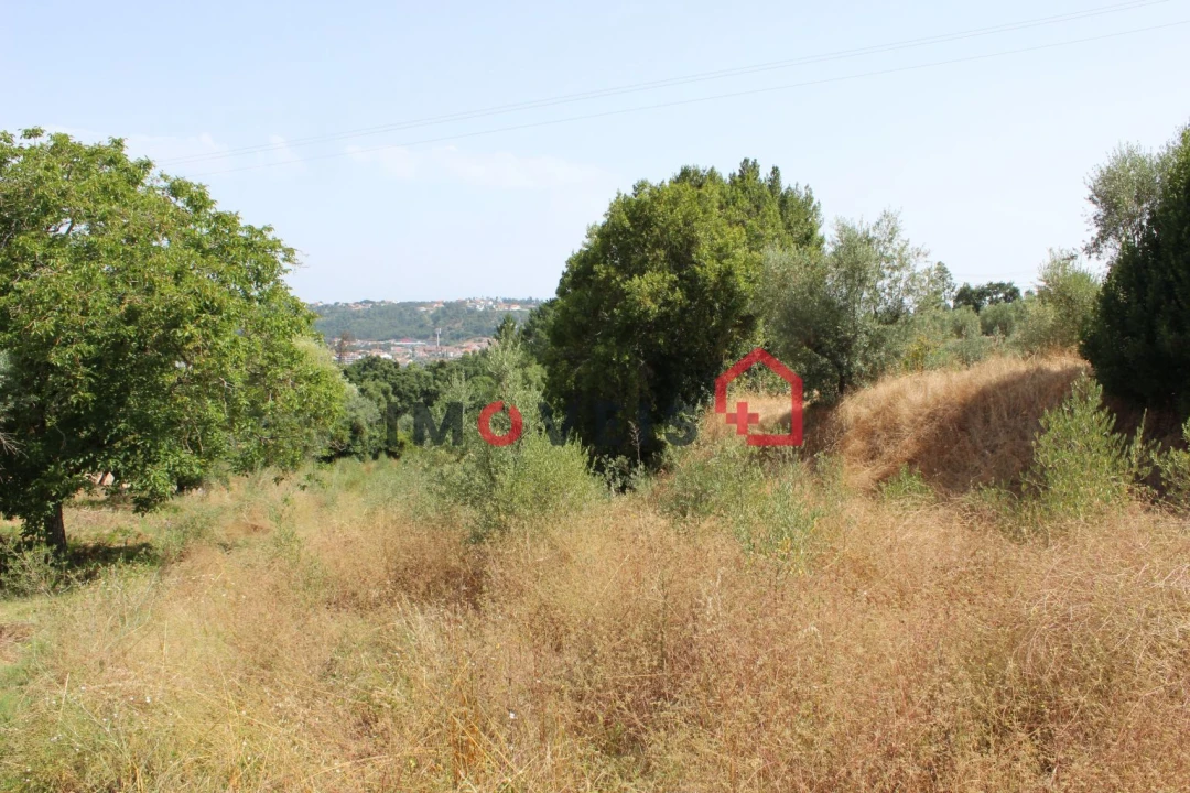Terreno para Venda em Nossa Senhora das Misericordias Foto 4