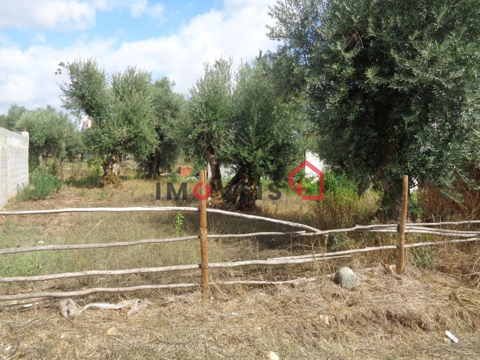 Terreno para Venda em Freixianda, Ribeira do Fárrio e Formigais Foto 1