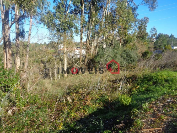 Terreno para Venda em Nossa Senhora da Piedade Foto 3