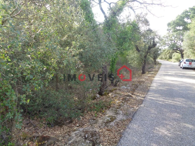 Terreno para Venda em Areias e Pias Foto 2