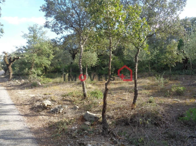 Terreno para Venda em Areias e Pias Foto 1