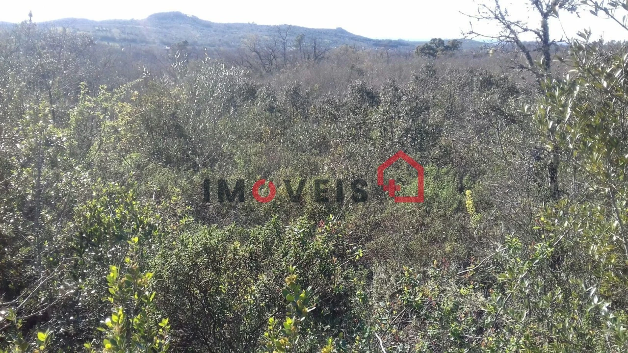 Terreno para Venda em Chãos Foto 1