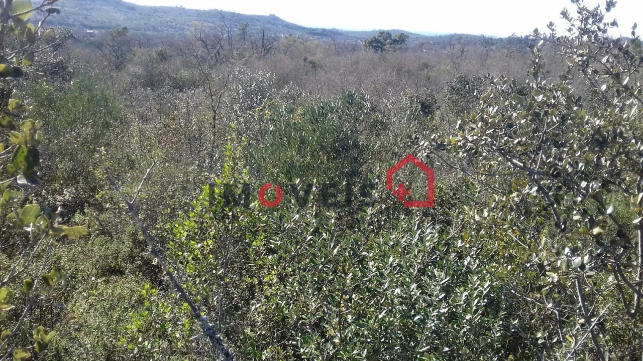 Terreno para Venda em Chãos Foto 2