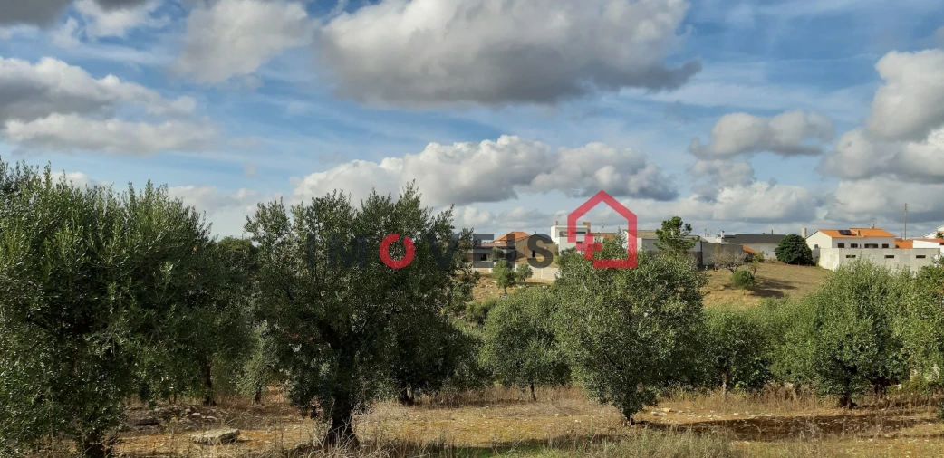 Terreno para Venda em Santa Catarina da Serra e Chainça Foto 2