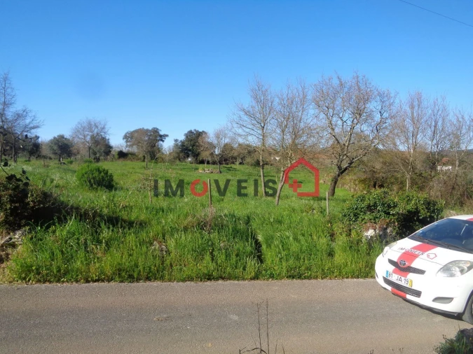 Terreno para Venda em Areias e Pias Foto 3