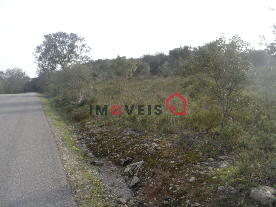 Terreno para Venda em Areias e Pias Foto 5