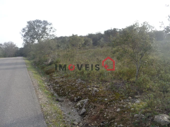 Terreno para Venda em Areias e Pias Foto 5