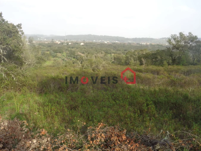 Terreno para Venda em Areias e Pias Foto 6