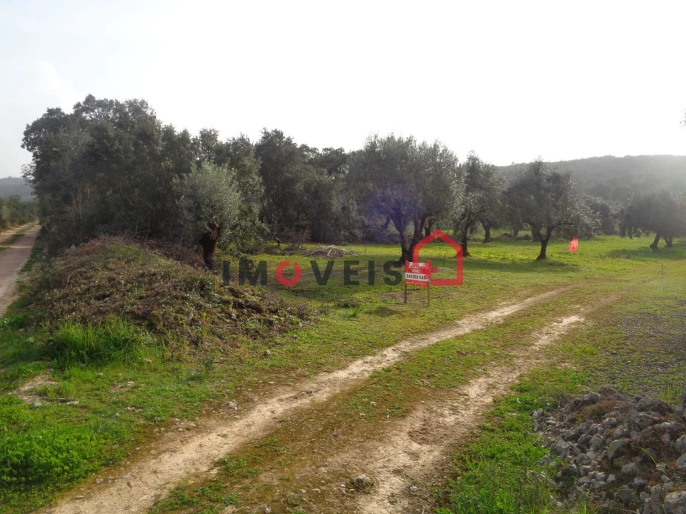 Terreno para Venda em Areias e Pias Foto 1