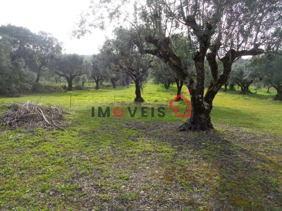 Terreno para Venda em Areias e Pias Foto 2