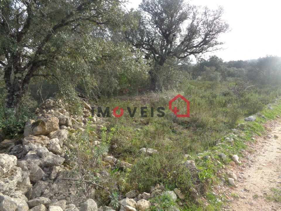 Terreno para Venda em Areias e Pias Foto 3