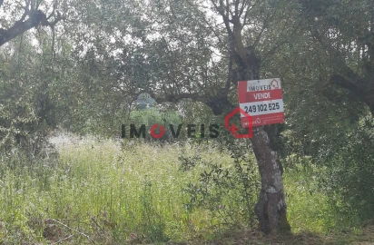 Terreno para Venda em Nossa Senhora da Piedade