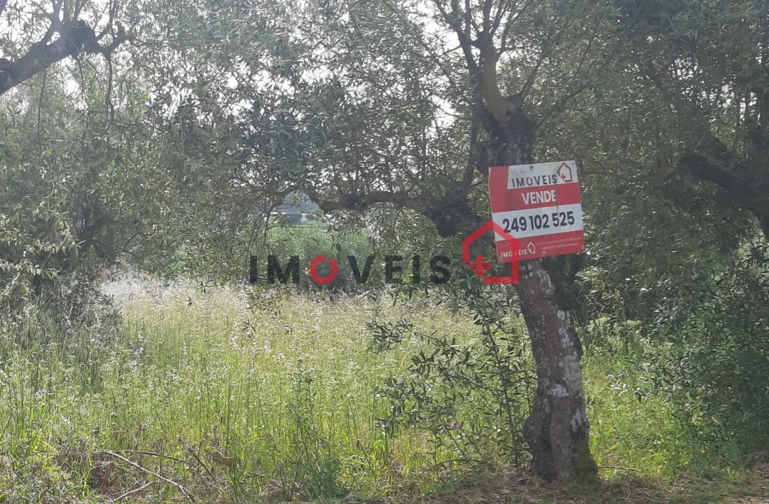 Terreno para Venda em Nossa Senhora da Piedade Foto 1
