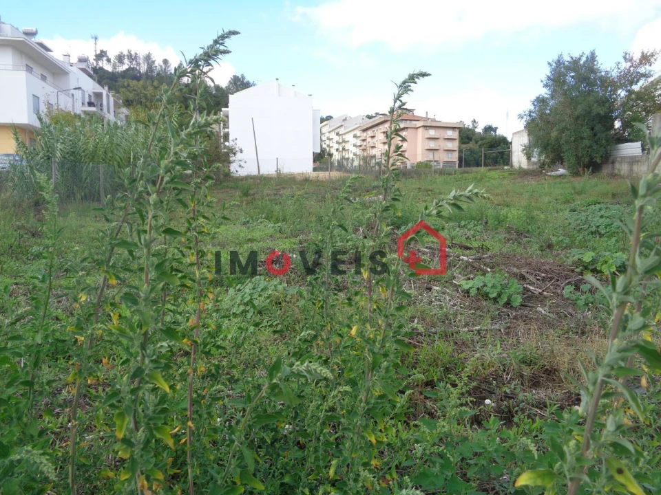 Terreno para Venda em Nossa Senhora da Piedade Foto 3