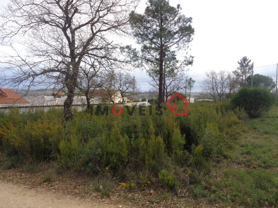 Terreno para Venda em Seiça Foto 2