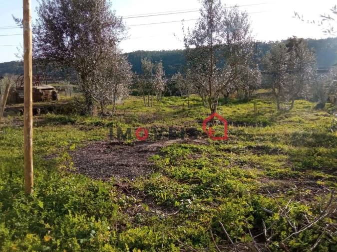 Terreno para Venda em Urqueira Foto 2