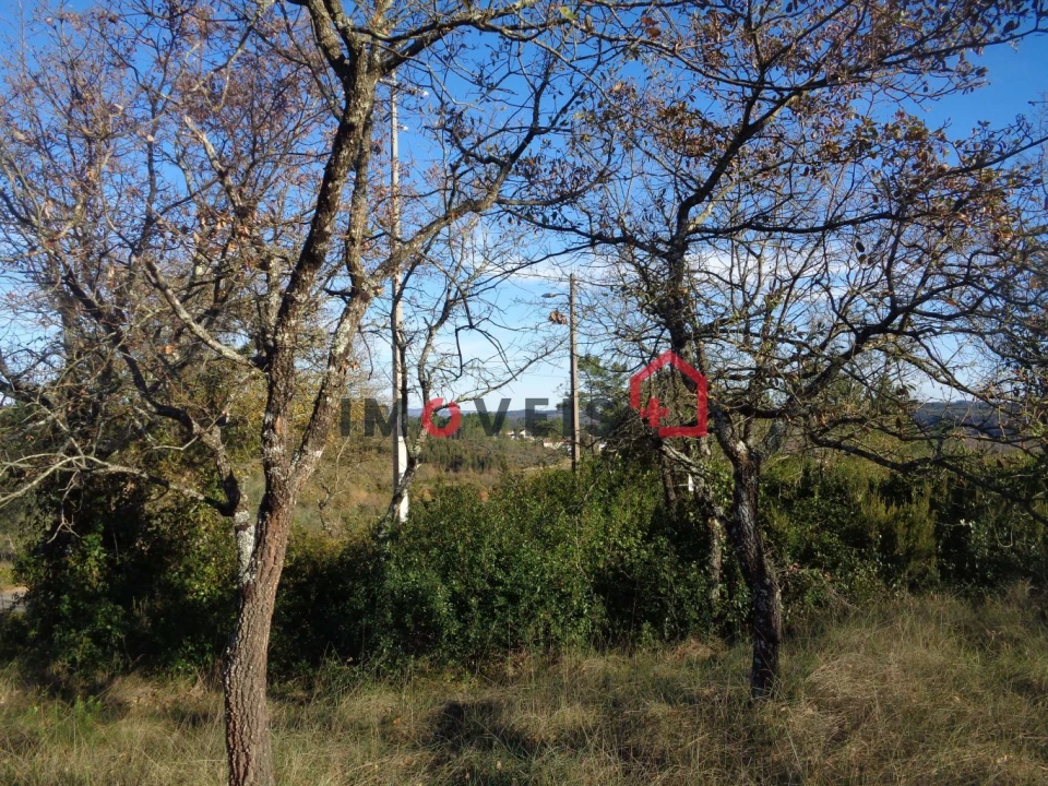 Terreno para Venda em Seiça Foto 3