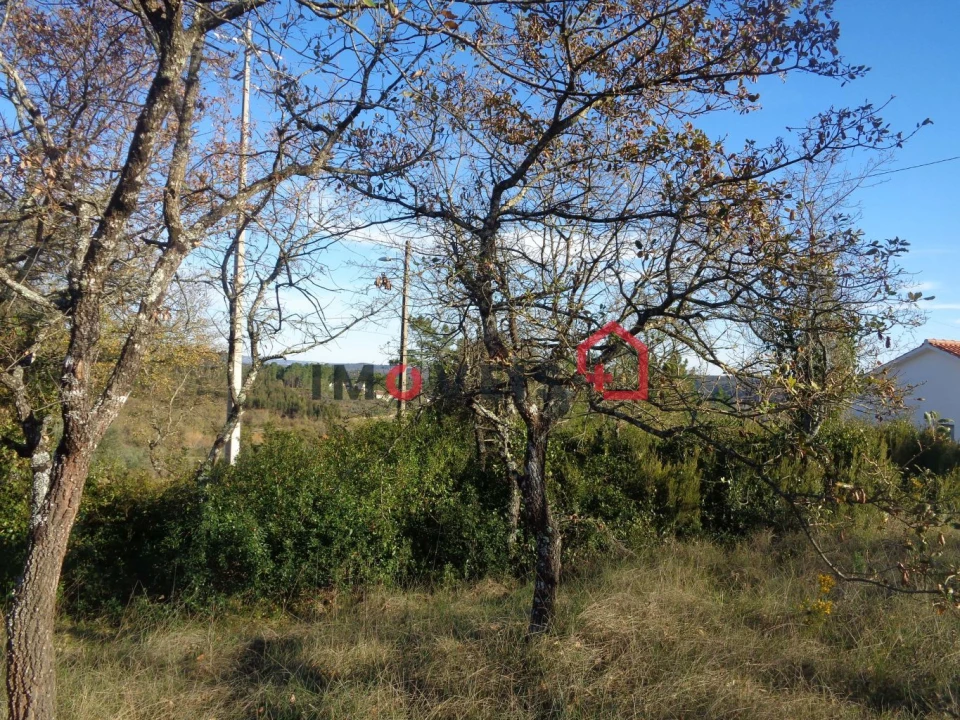 Terreno para Venda em Seiça Foto 2