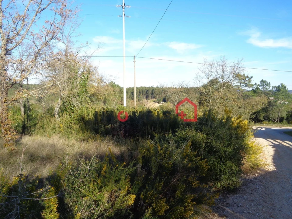 Terreno para Venda em Seiça Foto 1