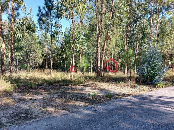 Terreno para Venda em Nossa Senhora das Misericordias Foto 2