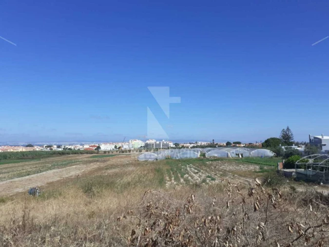 Terreno para Venda em Alcochete