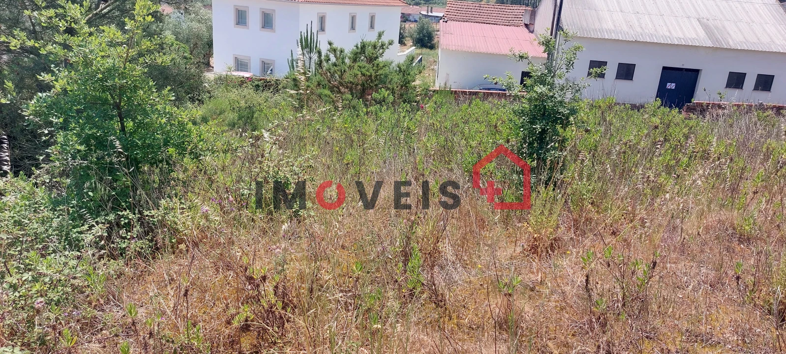 Terreno para Venda em Gondemaria e Olival Foto 3