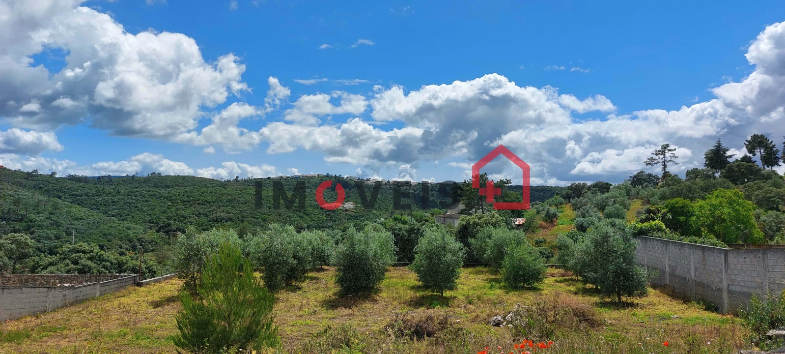 Terreno para Venda em Fatima Foto 6