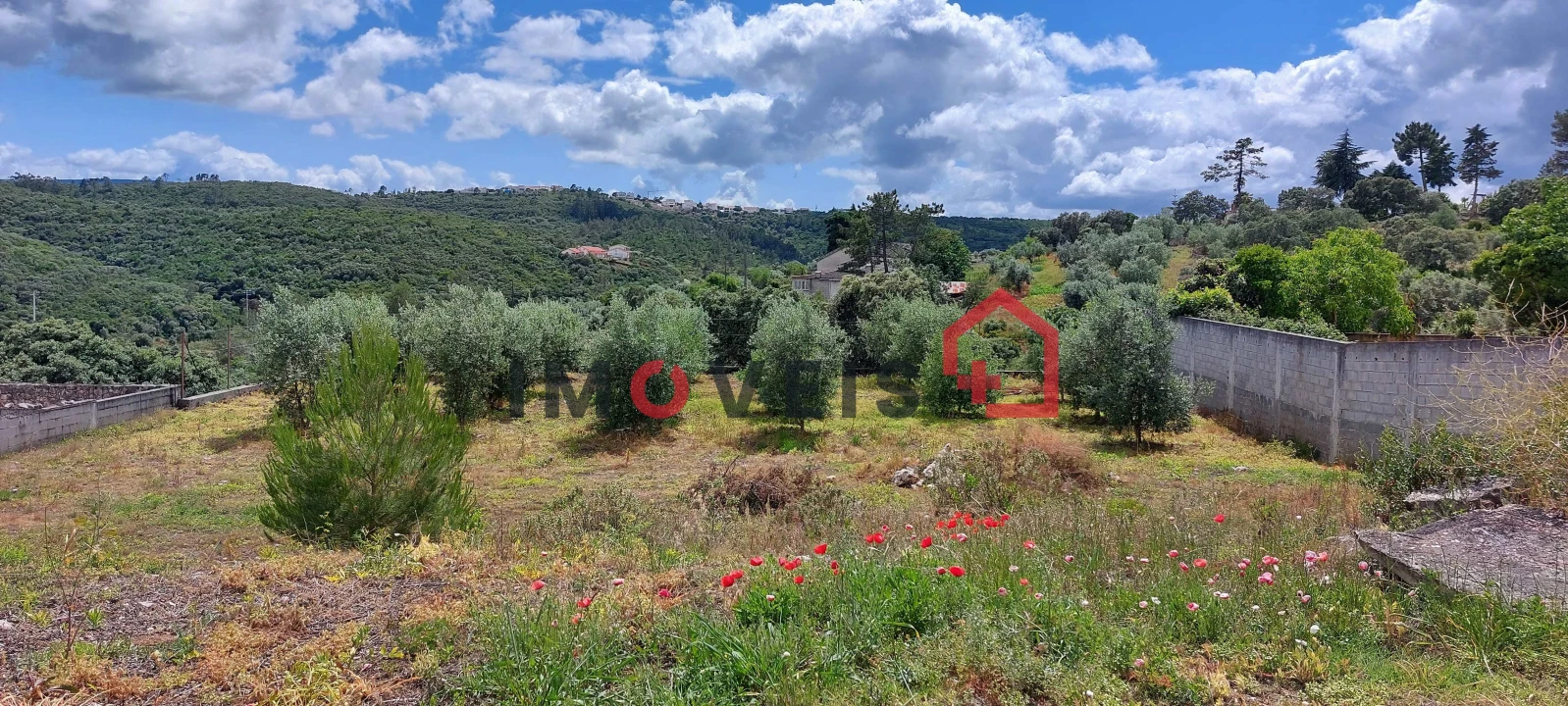 Terreno para Venda em Fatima Foto 5