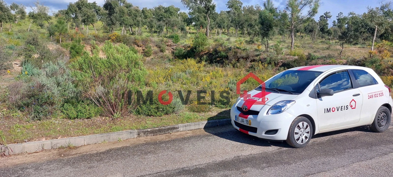 Terreno para Venda em Carregueira Foto 1
