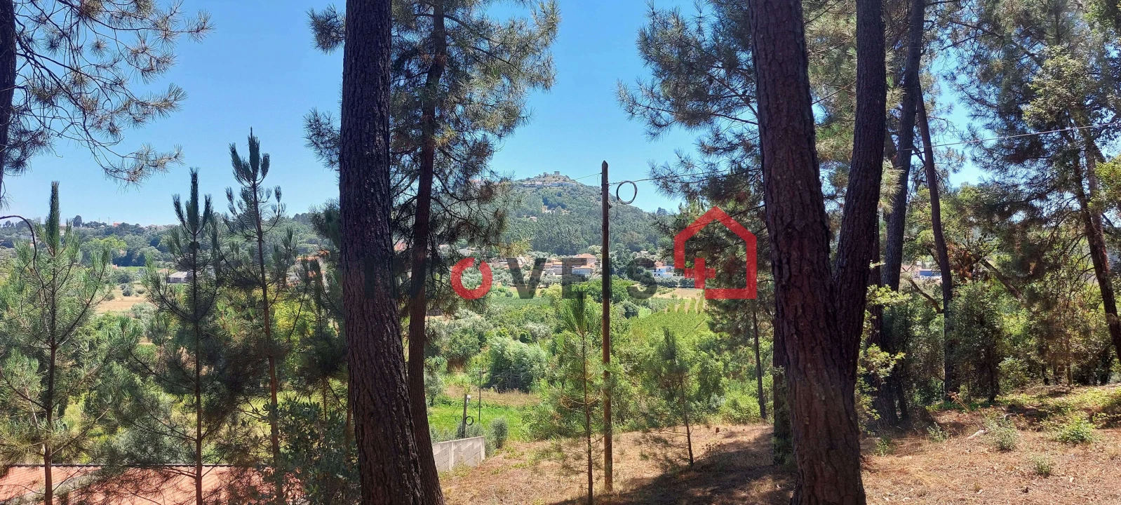 Terreno para Venda em Nossa Senhora das Misericordias Foto 7