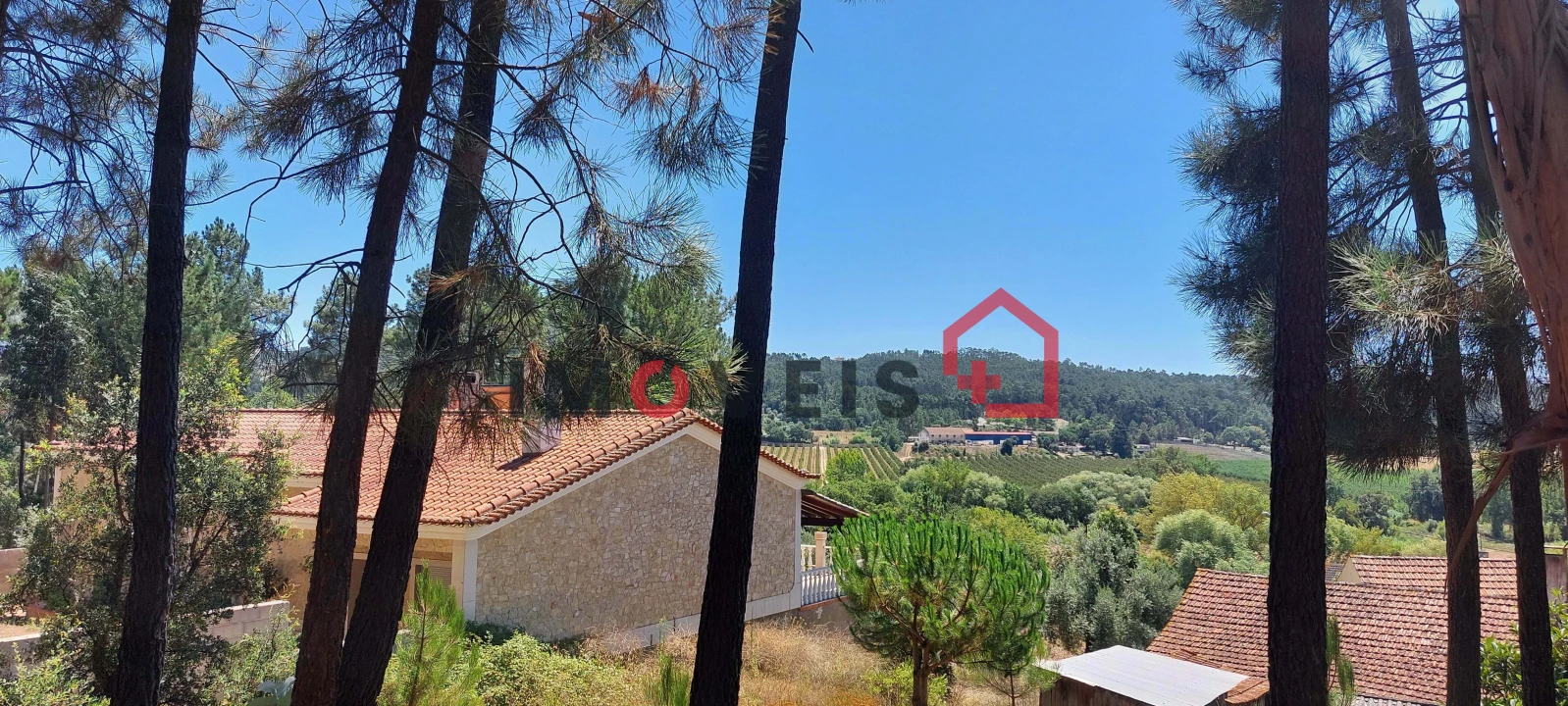 Terreno para Venda em Nossa Senhora das Misericordias Foto 5