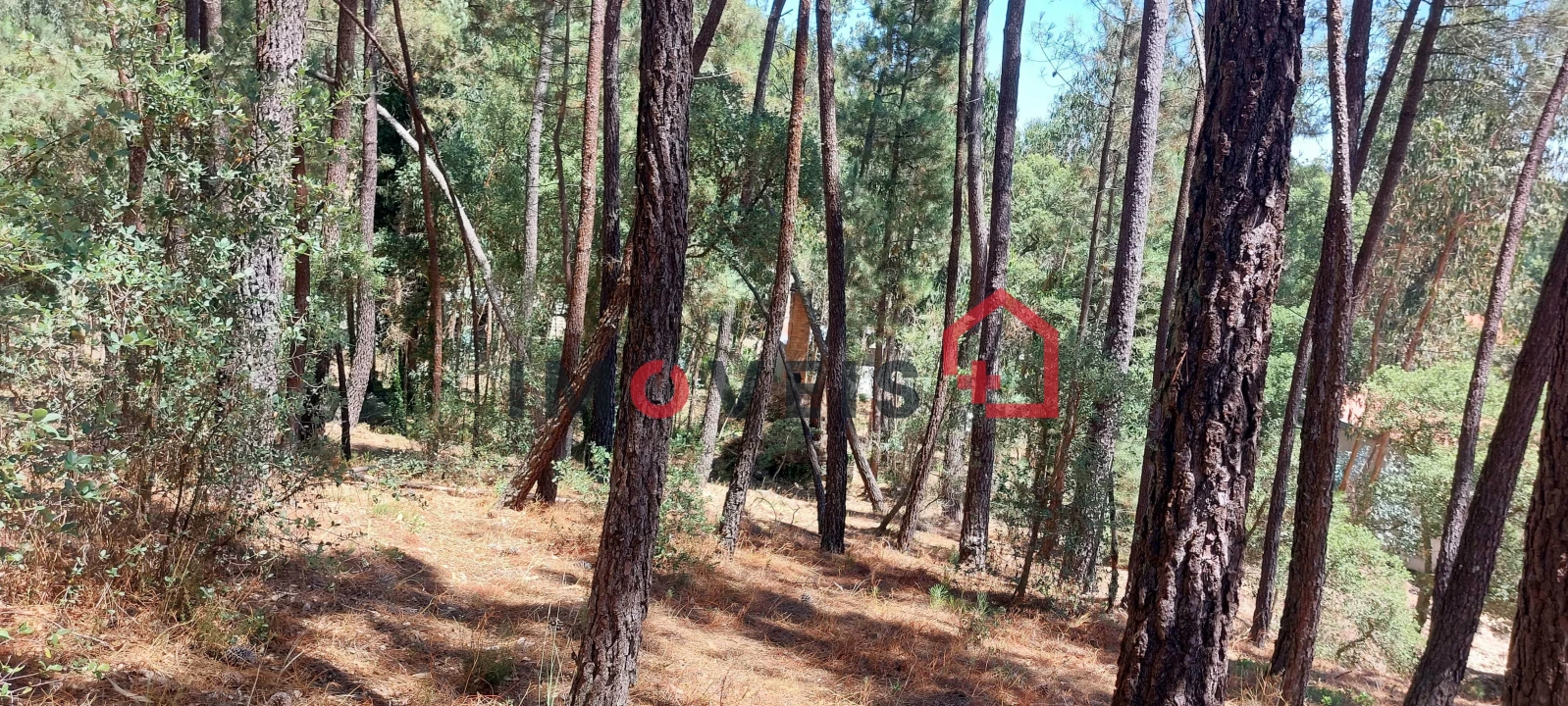 Terreno para Venda em Nossa Senhora das Misericordias Foto 6
