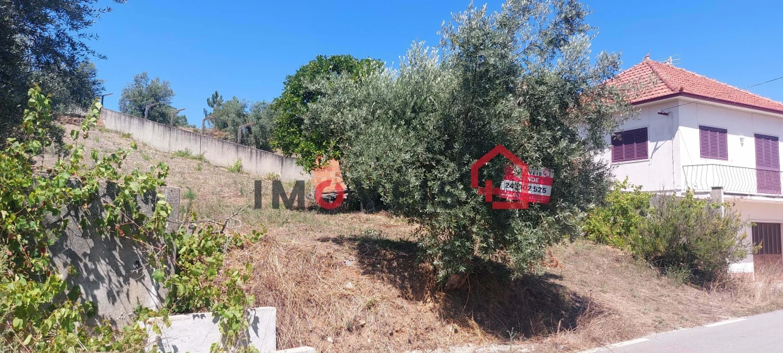 Terreno para Venda em Gondemaria e Olival Foto 2