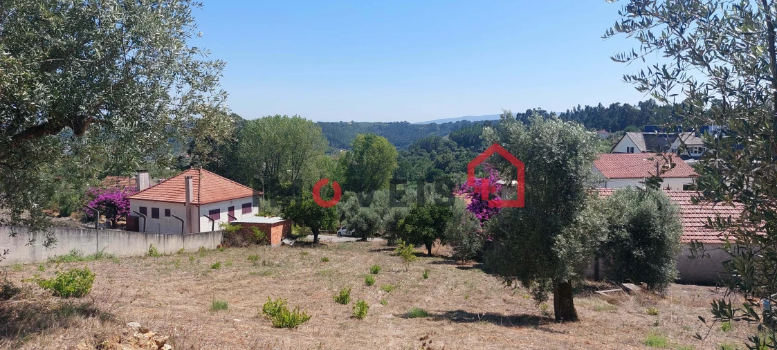 Terreno para Venda em Gondemaria e Olival Foto 1