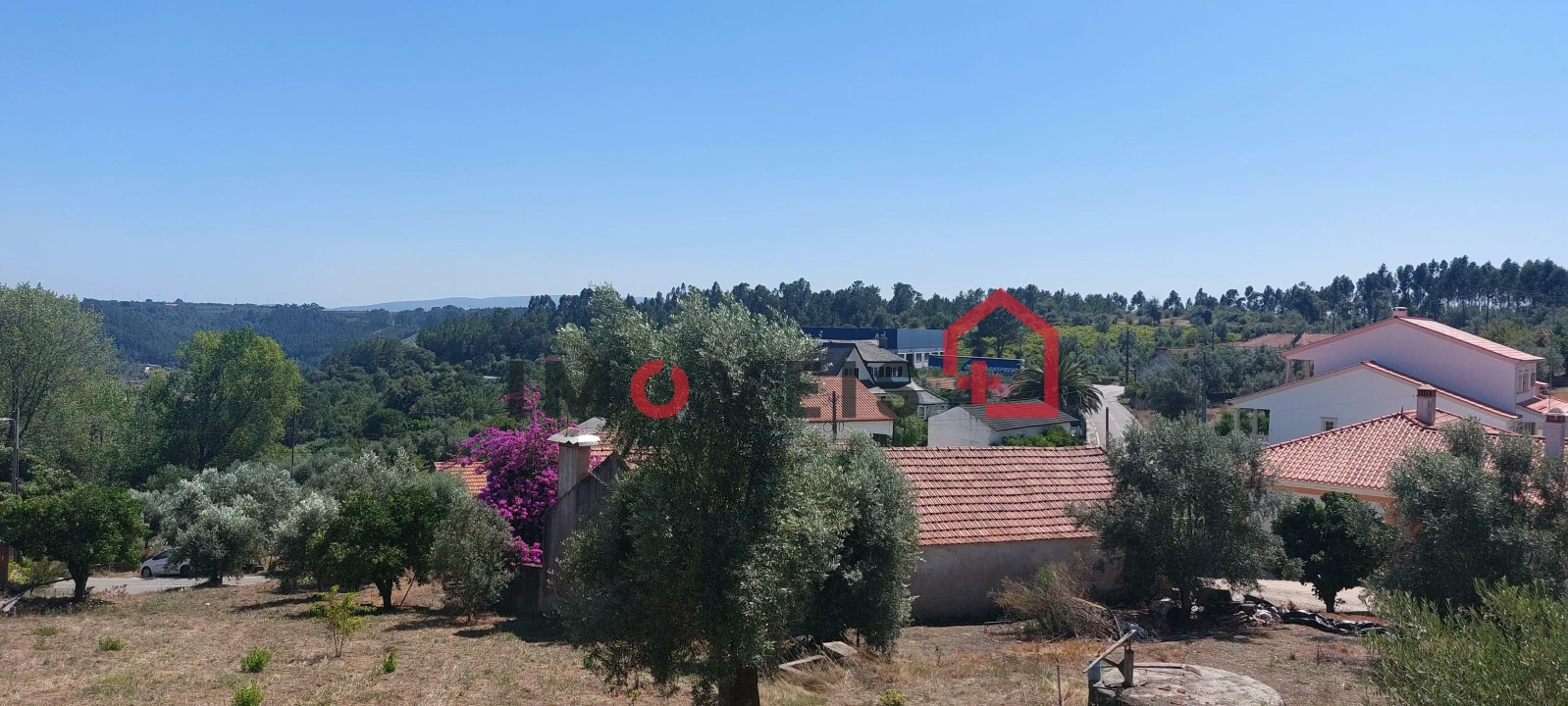 Terreno para Venda em Gondemaria e Olival Foto 4