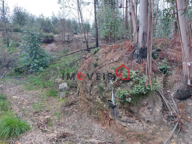 Terreno para Venda em Espite Foto 2