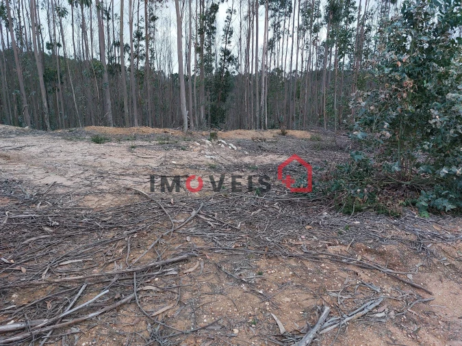 Terreno para Venda em Espite Foto 11