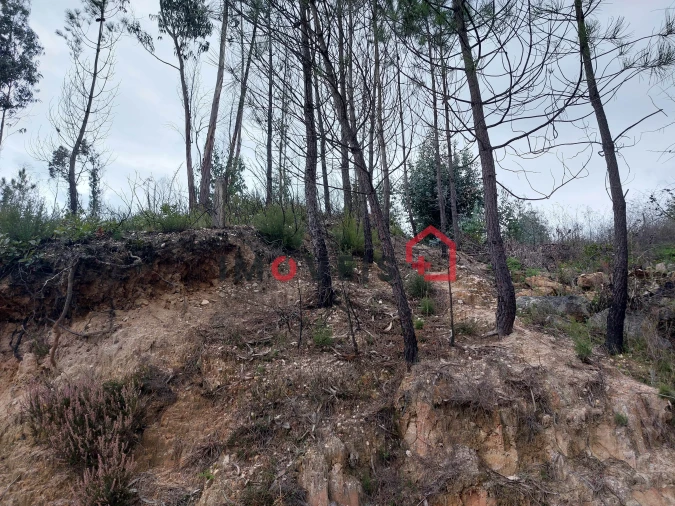 Terreno para Venda em Espite Foto 4