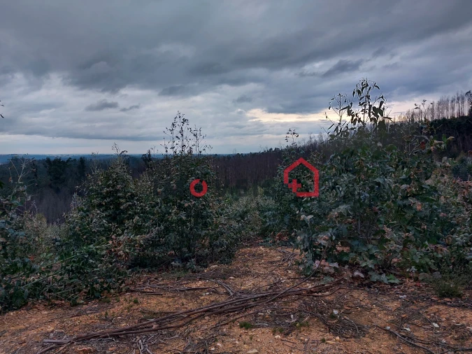 Terreno para Venda em Espite Foto 10