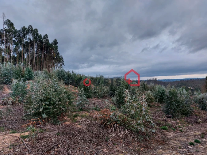 Terreno para Venda em Espite Foto 8