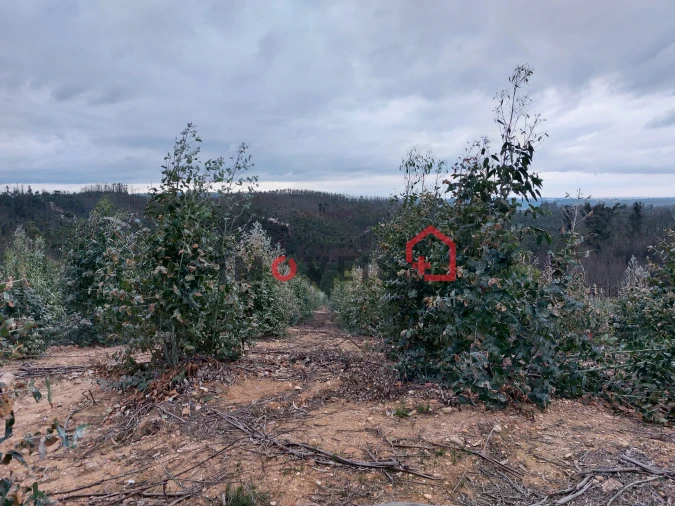 Terreno para Venda em Espite Foto 9