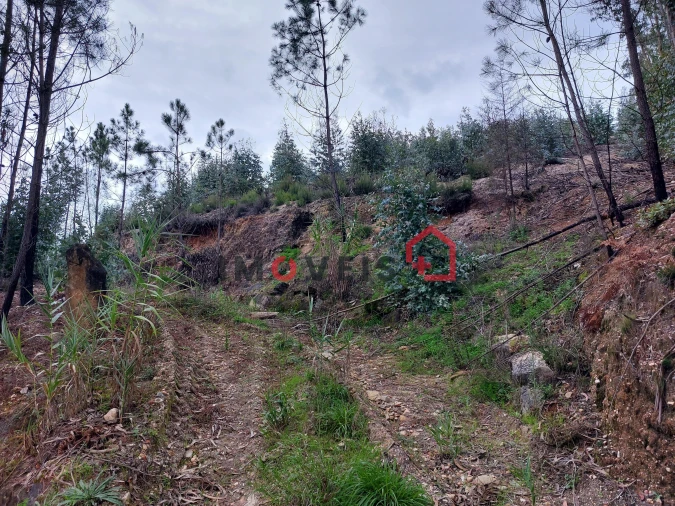 Terreno para Venda em Espite Foto 3