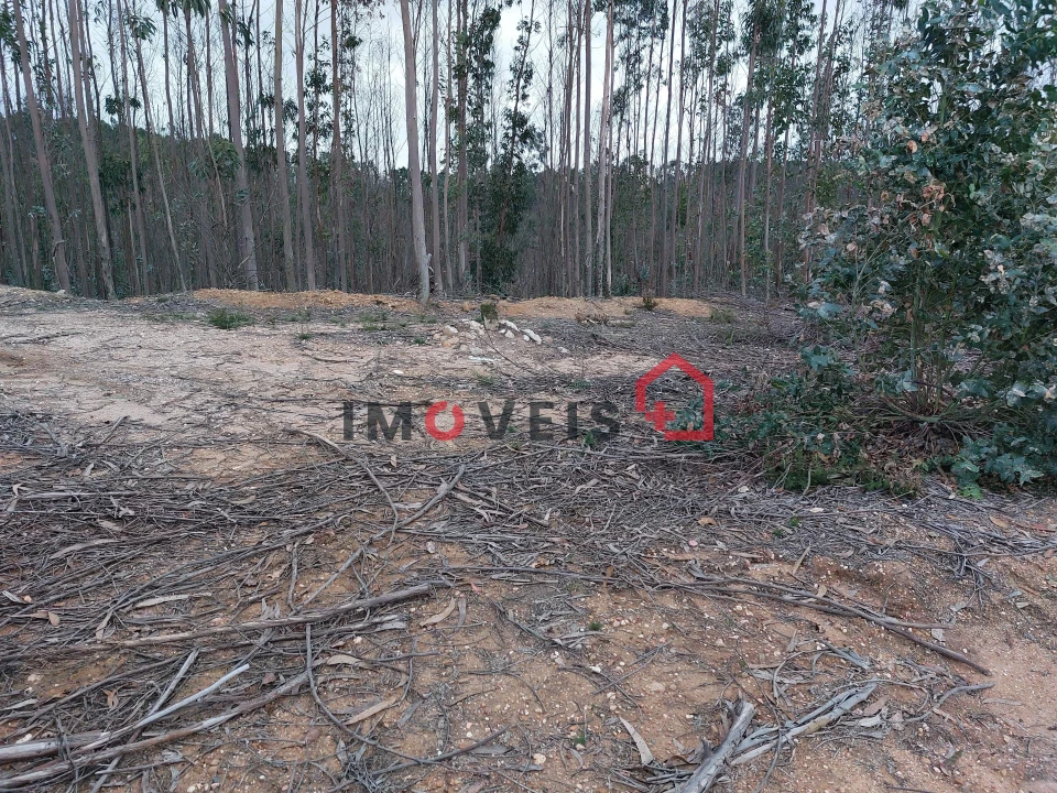 Terreno para Venda em Espite Foto 11