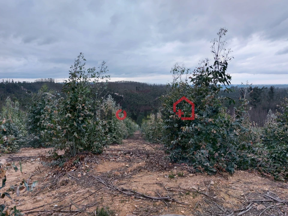 Terreno para Venda em Espite Foto 9